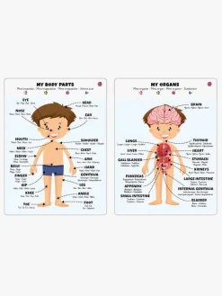 Barbo Toys Body Puslespil Dreng 36 Brikker