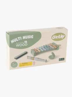 Dantoy Musiksæt Wooden In Gift Box