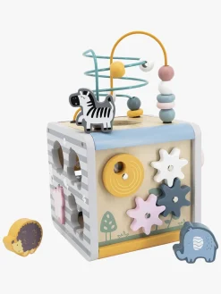 PolarB Aktivitetskube