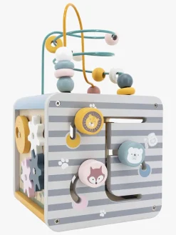 PolarB Aktivitetskube