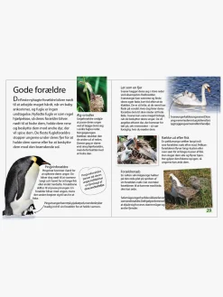 Ud i naturen - Fugle