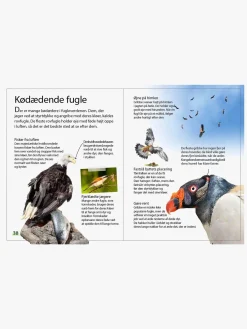 Ud i naturen - Fugle