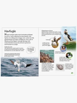 Ud i naturen - Fugle